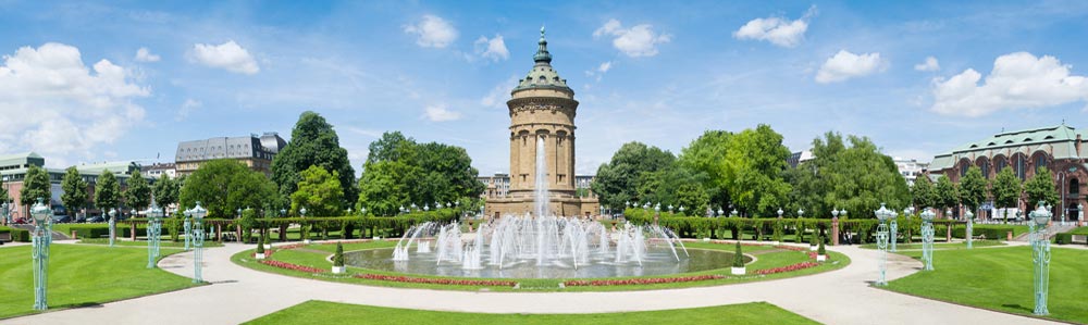 Sportrecht und Sportarbeitsrecht Mannheim